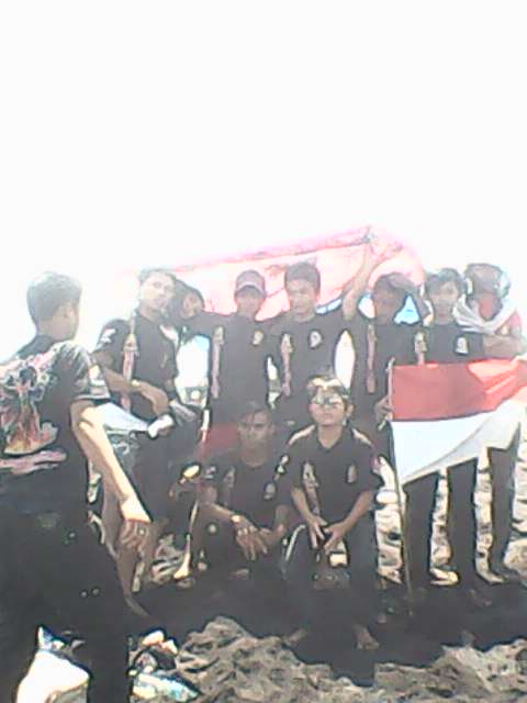 Tim ronggo lawe